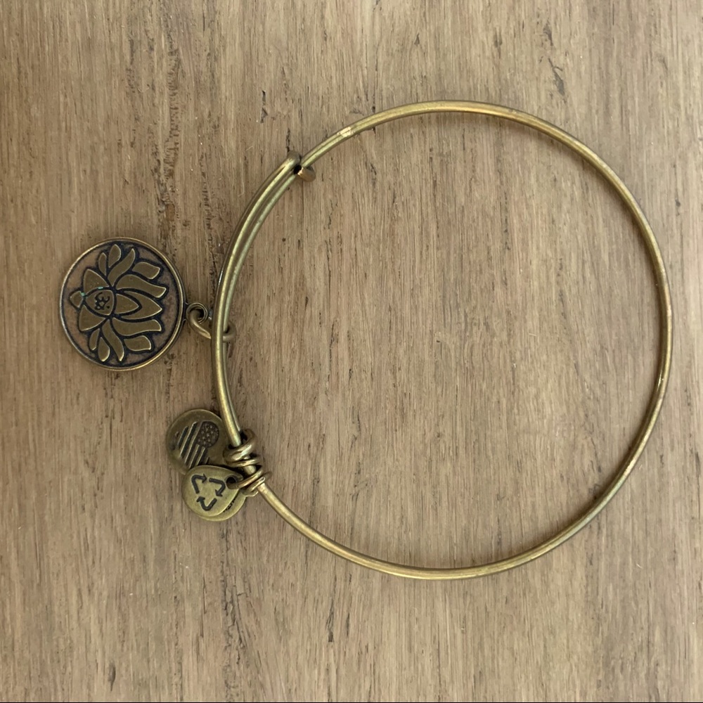 Alex and Ani Gold Bracelet